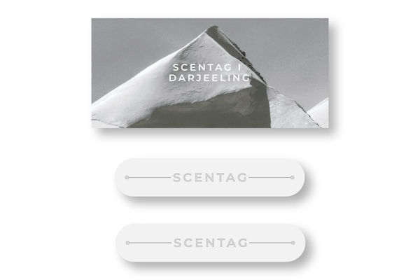 Ceramic Modernity Scents | Modernity Fragrance Elegance | Scentag.io